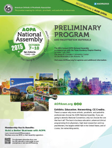 Assembly prelim brochure